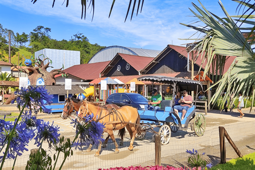 passeio de charrete.png