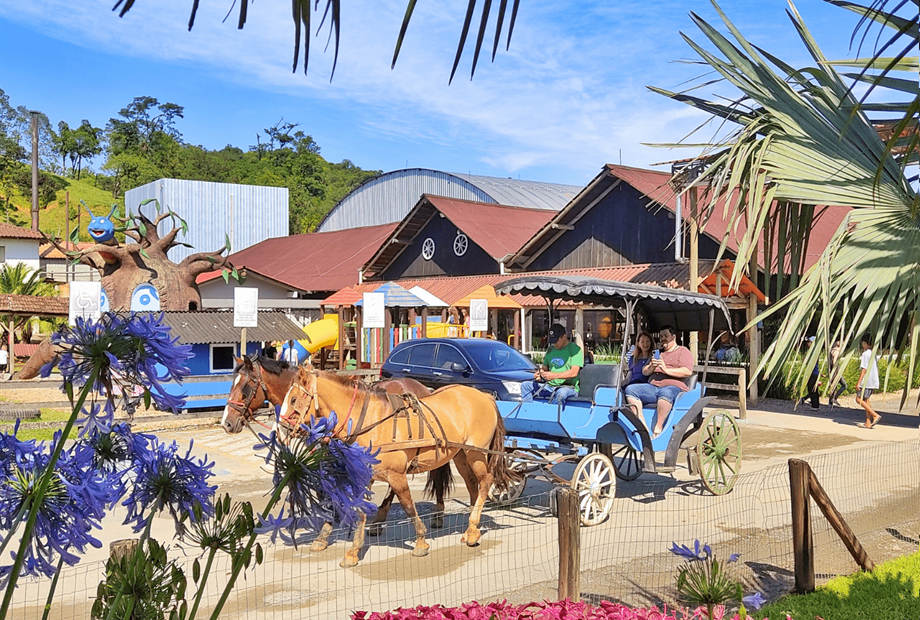 passeio de charrete.png