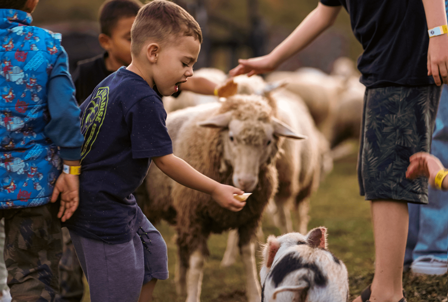 crianças ovelha.png
