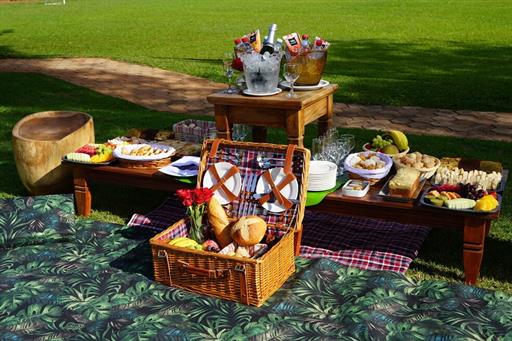 piquenique cap00932.jpg