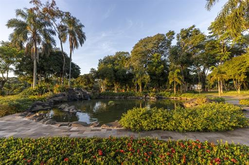 lago 08052025-80.jpg