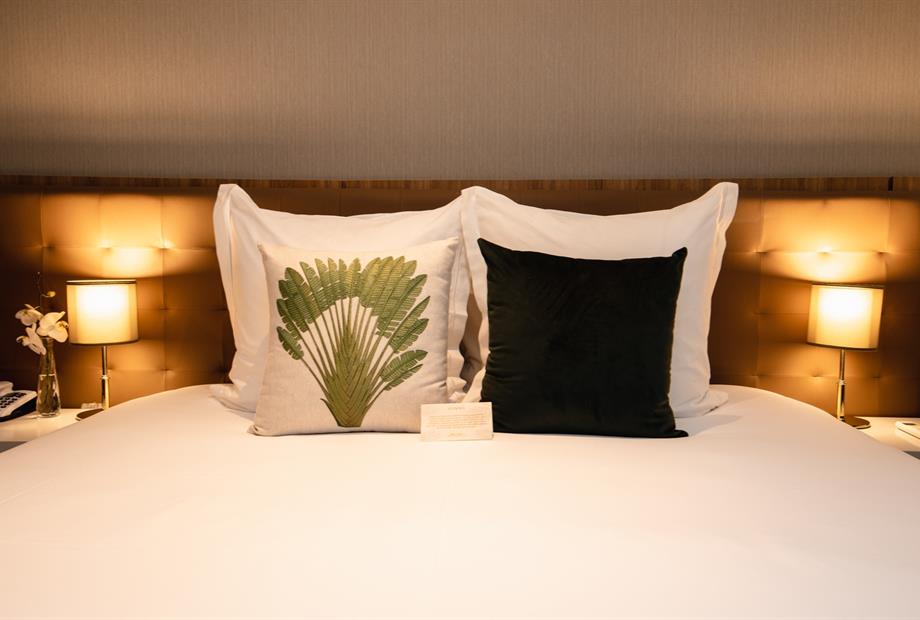 superior queen (1).jpg