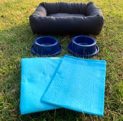 whatsapp image 2022-09-09 at 16.37.13.jpeg