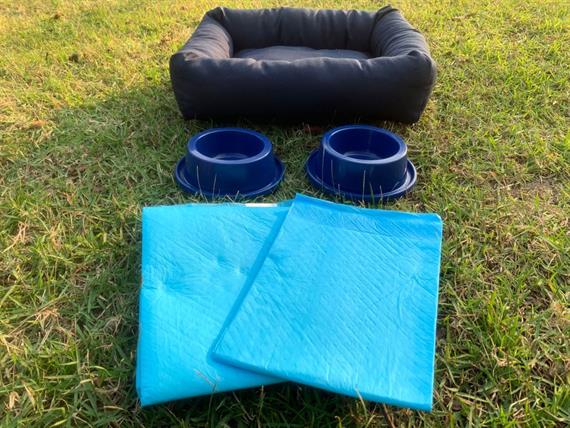 whatsapp image 2022-09-09 at 16.37.13.jpeg