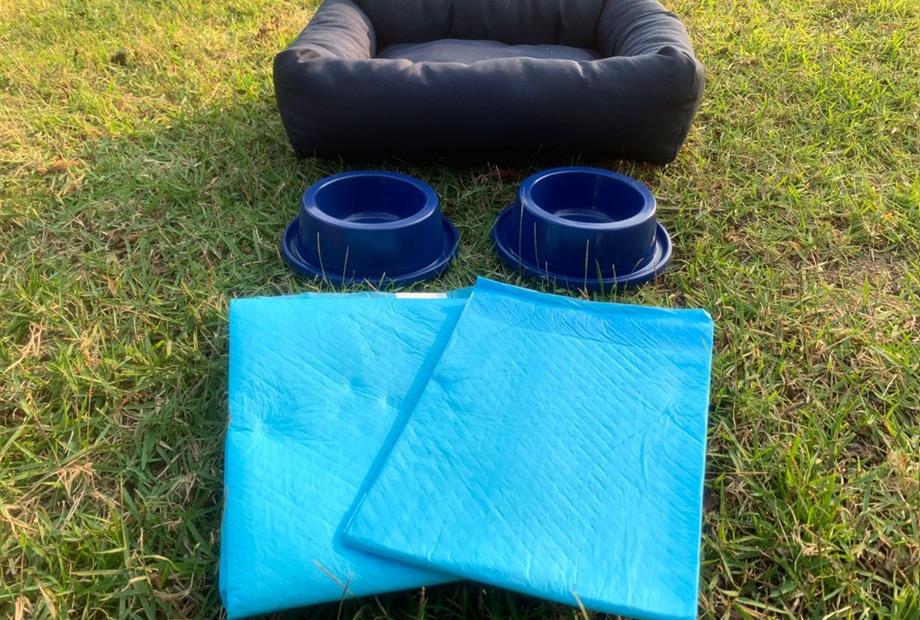 whatsapp image 2022-09-09 at 16.37.13.jpeg