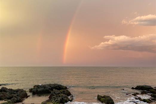 whatsapp image 2021-03-16 at 11.46.42.jpeg