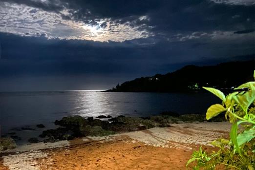 whatsapp image 2021-03-16 at 11.46.41 (1).jpeg