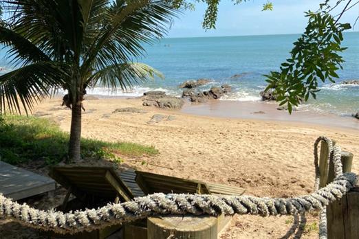 whatsapp image 2021-03-16 at 11.46.40.jpeg