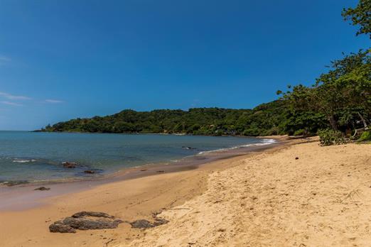 whatsapp image 2021-03-16 at 12.06.17 (1).jpeg