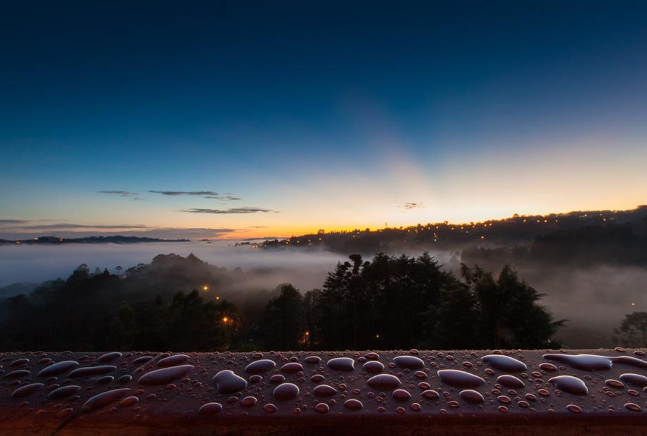 WhatsApp Image 2021-03-15 at 15.38.18.jpeg