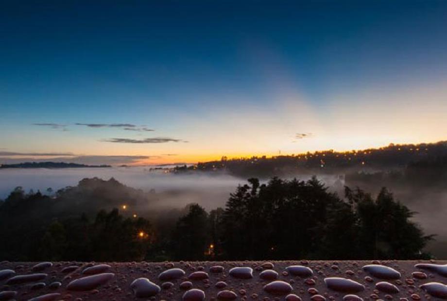 WhatsApp Image 2021-03-15 at 15.33.18.jpeg