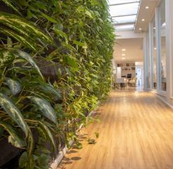 img_1724 - arpoador copiar.jpg