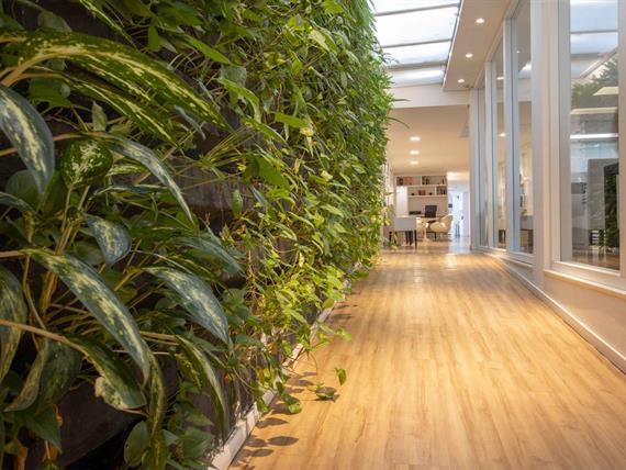 img_1724 - arpoador copiar.jpg