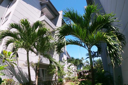 whatsapp image 2021-08-01 at 22.10.19 (2).jpeg