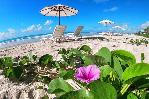 whatsapp image 2021-08-01 at 22.13.25 (3).jpeg