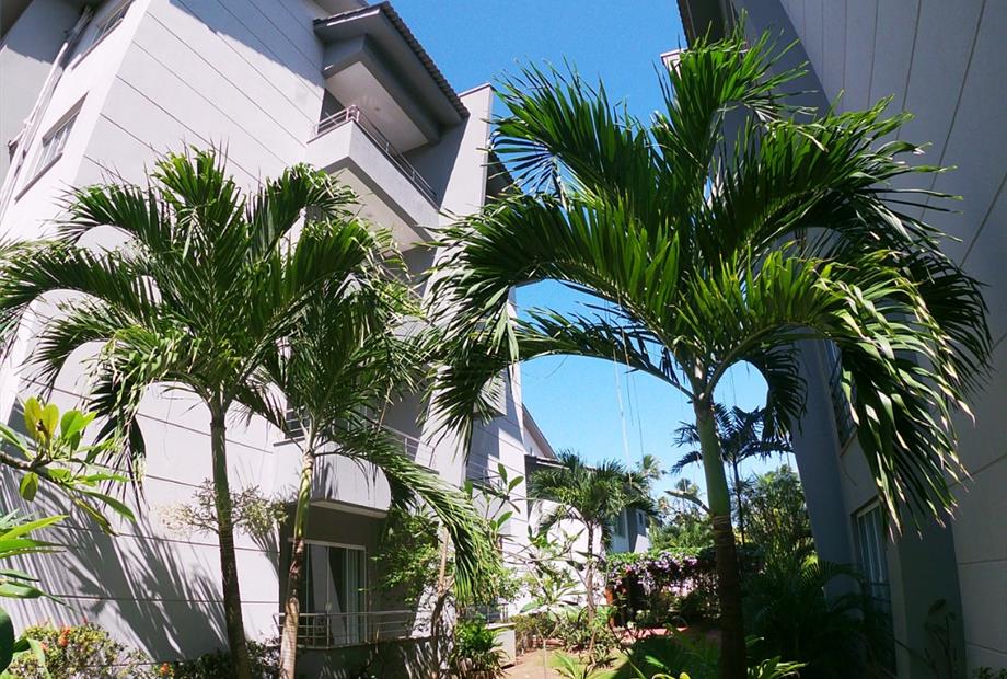 whatsapp image 2021-08-01 at 22.10.19 (2).jpeg