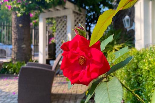 whatsapp image 2022-05-30 at 09.36.52 (3).jpeg