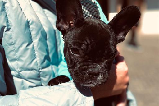 whatsapp image 2022-05-30 at 09.38.04.jpeg