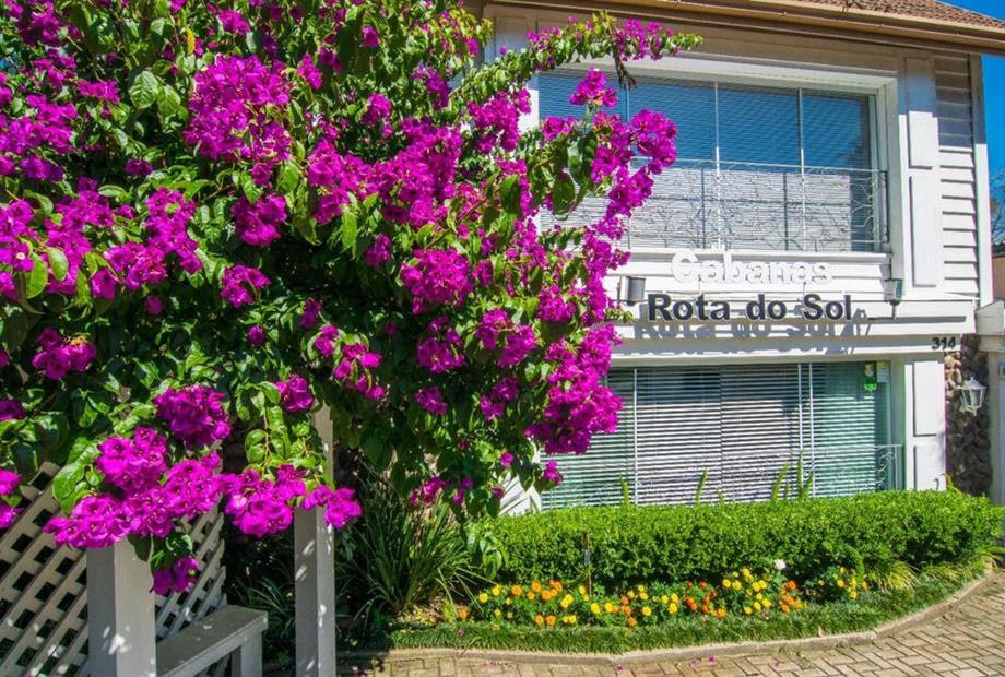 whatsapp image 2022-05-30 at 09.37.05 (2).jpeg