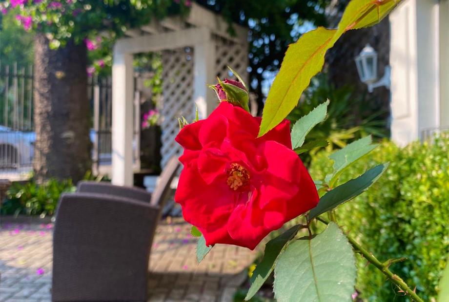 whatsapp image 2022-05-30 at 09.36.52 (3).jpeg