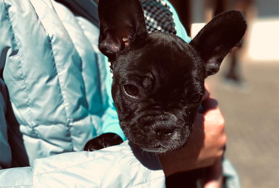 whatsapp image 2022-05-30 at 09.38.04.jpeg