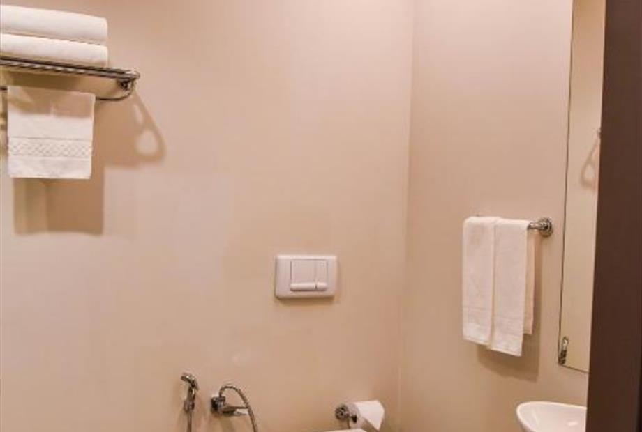 banheiro semi adaptado.jpg