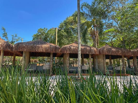 whatsapp image 2024-06-22 at 11.41.38.jpeg