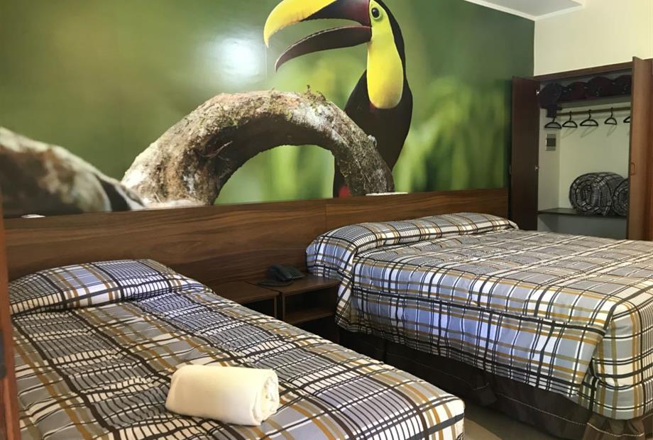 apto - pássaros  (2).jpg