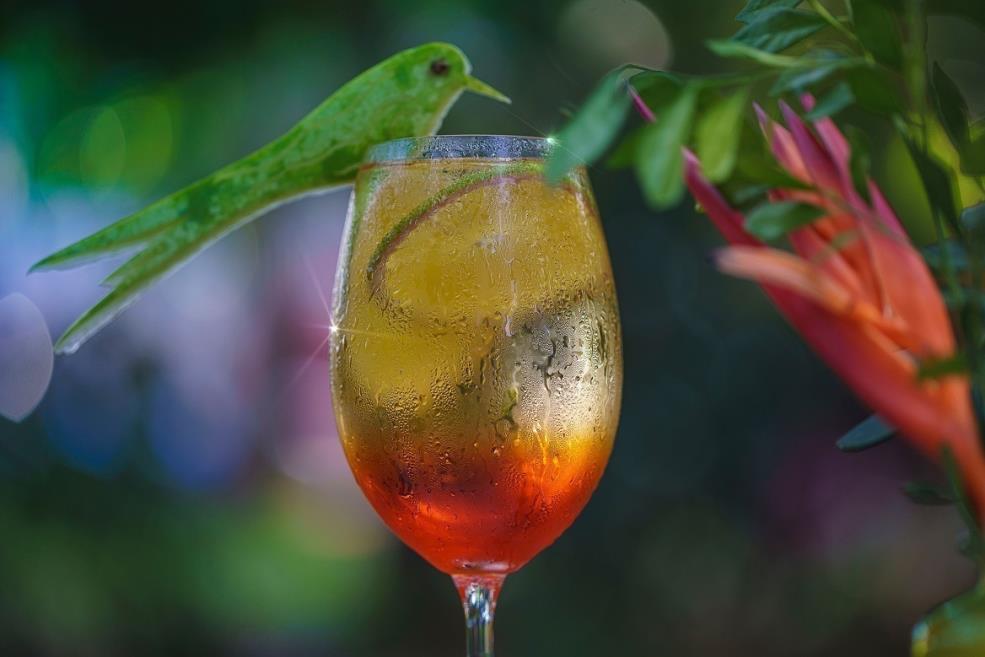 drink 5.jpg