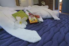 Suite Premium