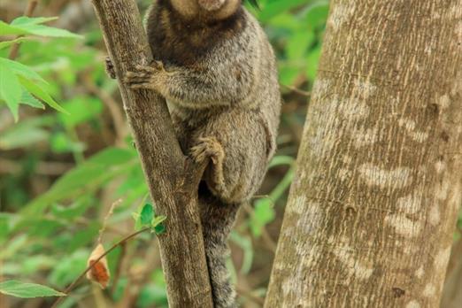 whatsapp image 2021-04-15 at 16.43.50 (15).jpeg