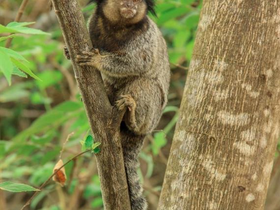 whatsapp image 2021-04-15 at 16.43.50 (15).jpeg