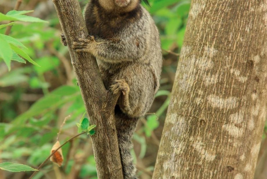 whatsapp image 2021-04-15 at 16.43.50 (15).jpeg