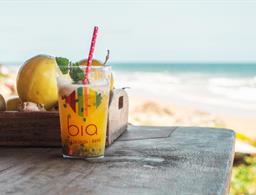 Pousada Sitio da Bia