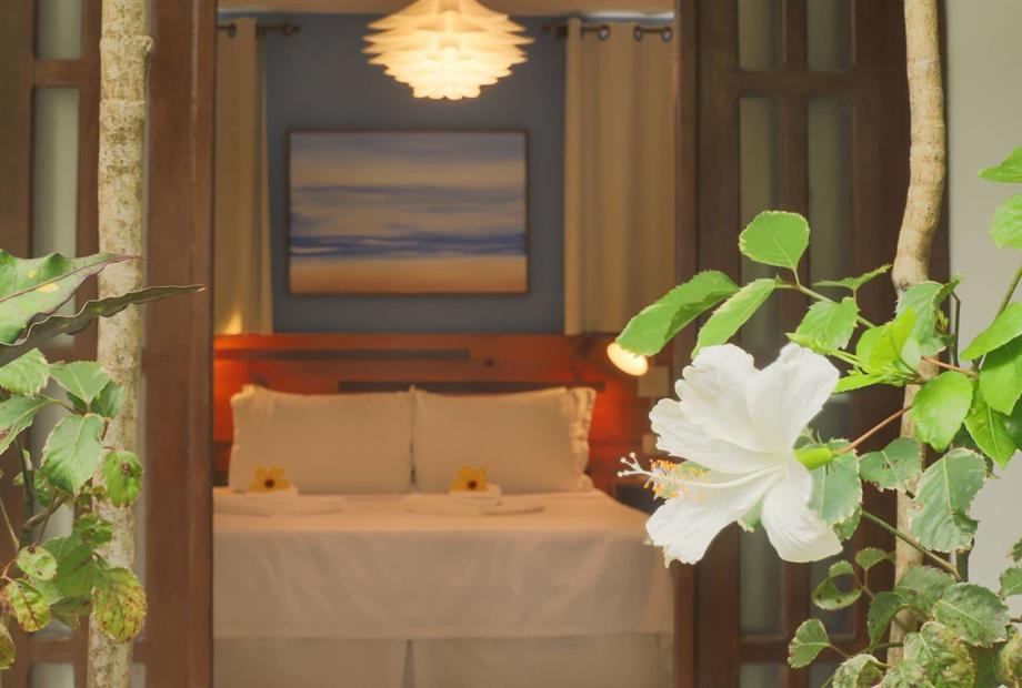 duplo standard (1).jpg