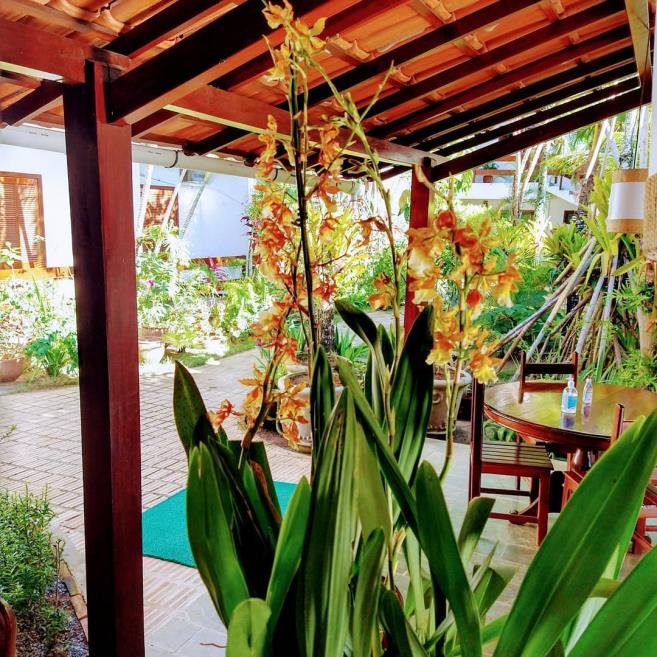 jardim5.jpg