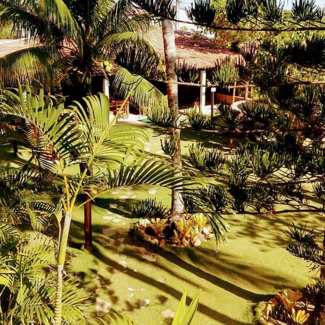 area verde.jpg