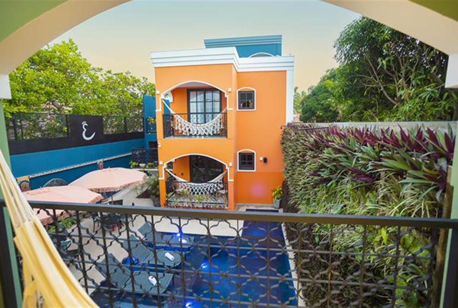 exotica 3 (copy).jpg