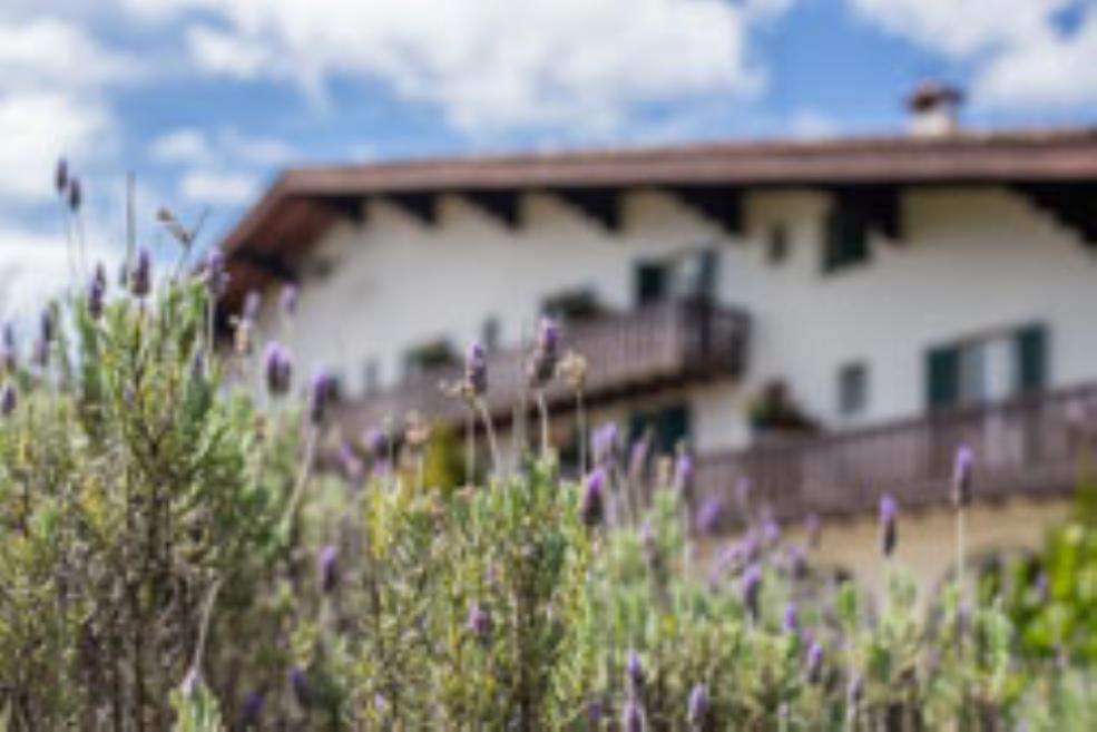 frente com flores.jpg