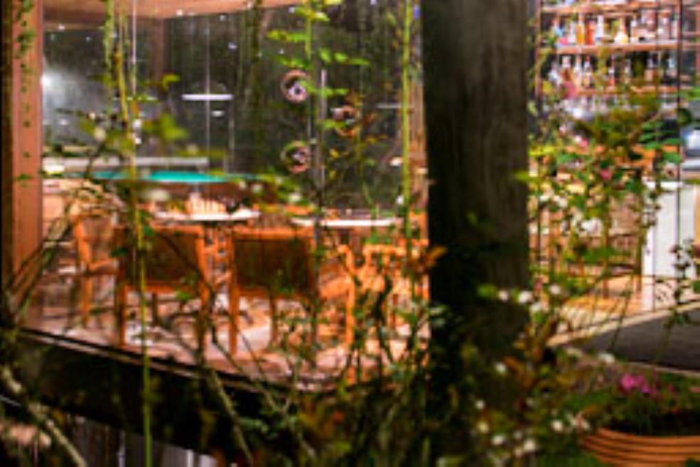 toriba_pinhobravo__dsc0602-hdr.jpg