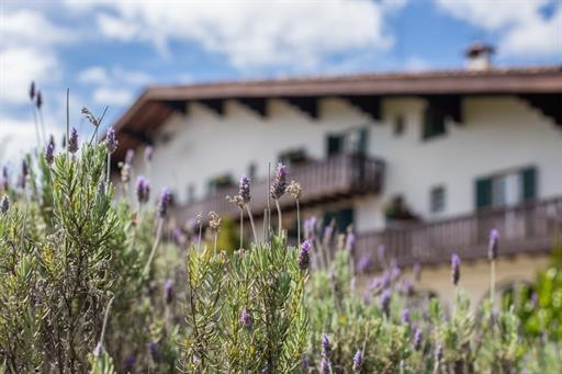 frente com flores.jpg