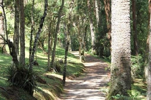 80g 80 0 img_2593.jpg