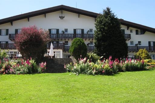 12 img_0036 toriba.jpg