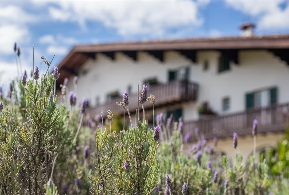 frente com flores.jpg