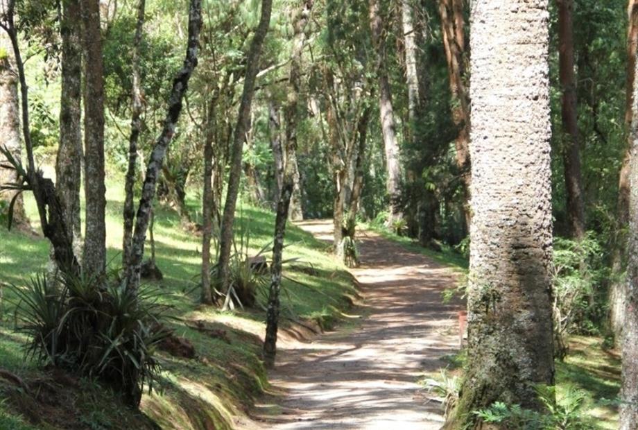 80g 80 0 img_2593.jpg