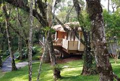 Chale Luxo Araucaria