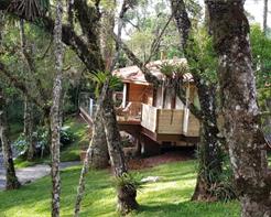 Chale Luxo Araucaria