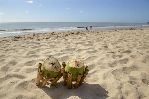 _cmv6269 hotel hardman mai21 g © cacio murilo.jpg