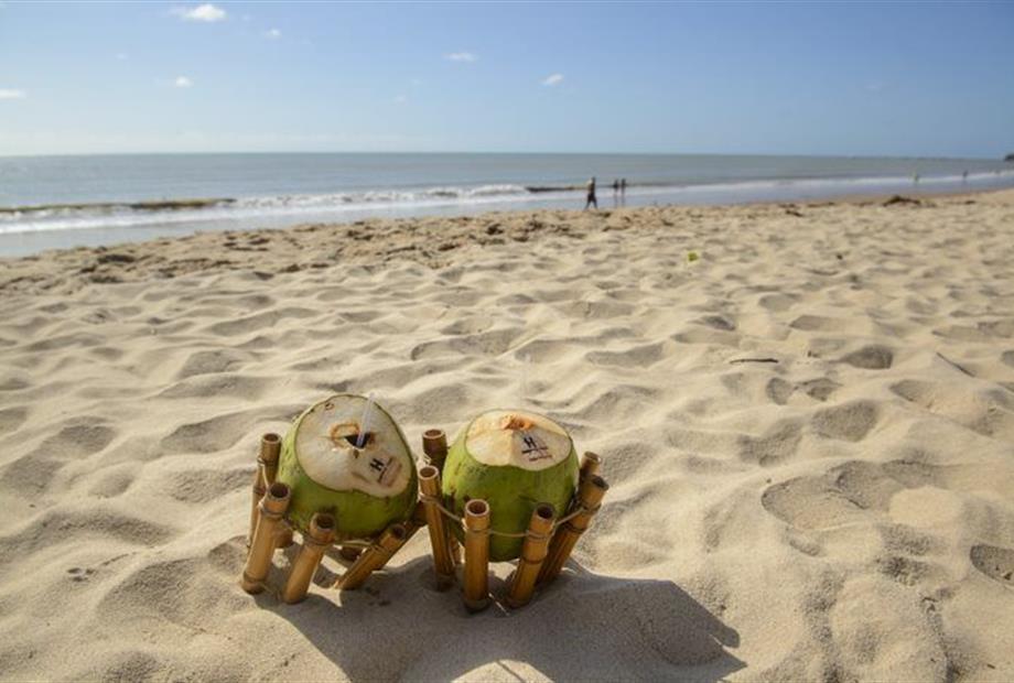 _cmv6269 hotel hardman mai21 g © cacio murilo.jpg