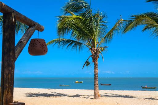 whatsapp image 2021-03-15 at 20.04.35-4.jpeg